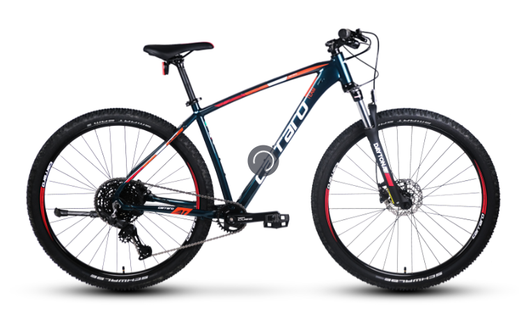 Carraro Daytona 910 29 Jant Dağ Bisikleti Antik Yeşil-NarÇiçeği-Beyaz 44 cm