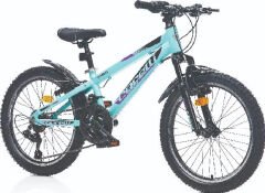 Corelli Dynamic 20 Jant Bisiklet Yeşil-Siyah/Mor