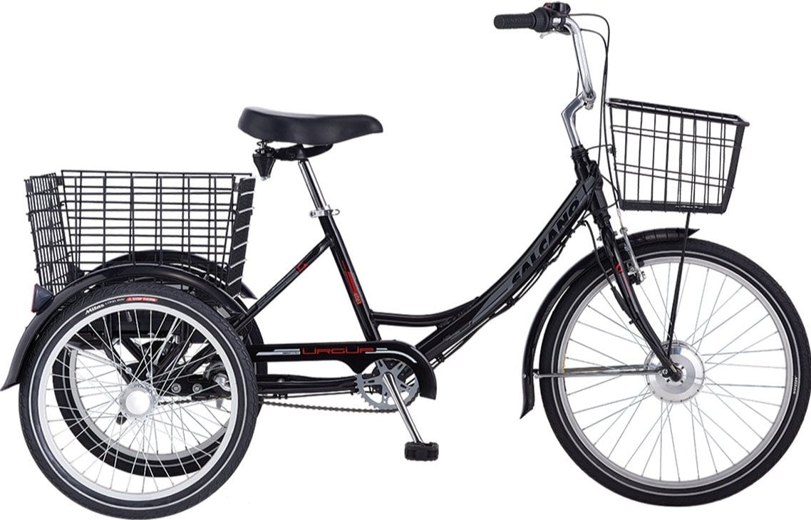 Salcano Ürgüp S 24/20 Jant Elektrikli Kargo Bisikleti