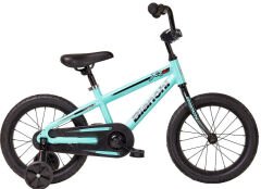 Bianchi XR-16 16 Jant Çocuk Bisikleti Celeste