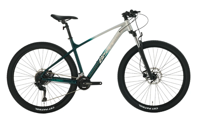 Bisan BOLD 9.2 HD 2X9 Vites 29 Jant Dağ Bisikleti Koyu Yeşil-Gri 48cm