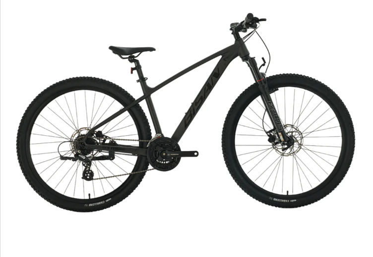 Bisan BOLD 8.3 HD 3X8 Vites 29 Jant Dağ Bisikleti Mat Siyah 43cm