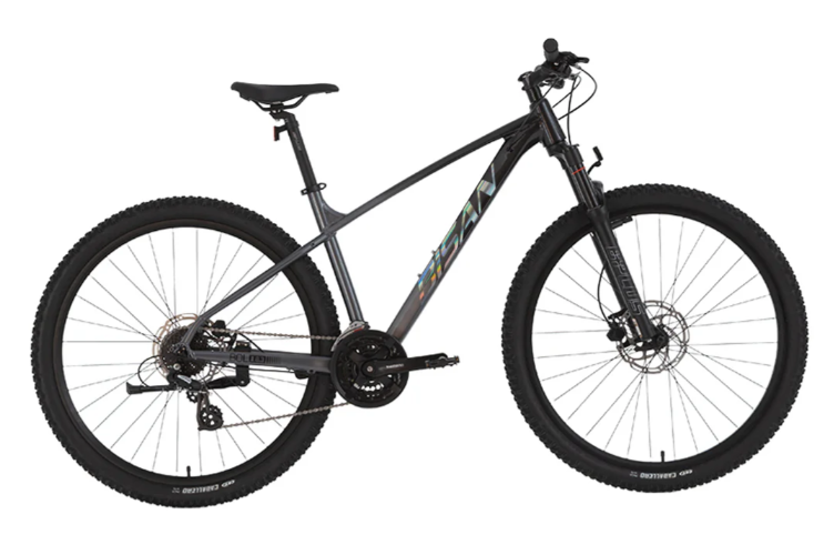 Bisan BOLD 8.3 HD 3X8 Vites 29 Jant Dağ Bisikleti Siyah-Gri 43cm