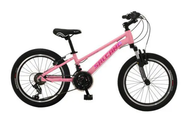 Salcano NG Team 200 20 Girl V Fren 18 Vites Çocuk Bisikleti Pudra Pembe