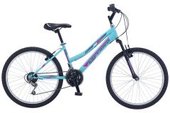 Salcano Excel Lady 24 Jant Dağ Bisikleti Siyah-Mor