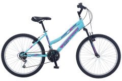 Salcano Excel Lady 24 Jant Dağ Bisikleti Mint Yeşil-Mor