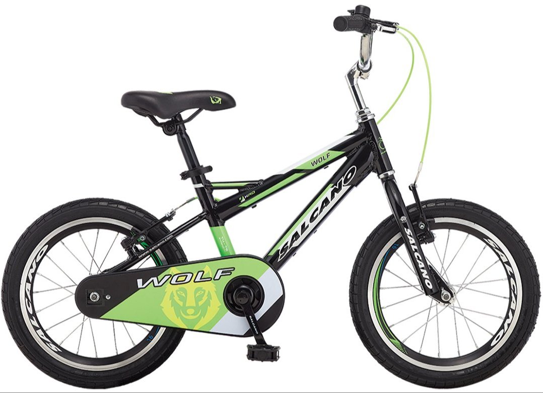 Salcano Wolf 20 Jant Erkek Çocuk Bisikleti Siyah-Mavi/Yeşil