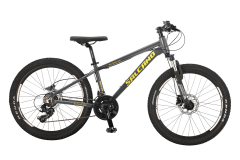 Salcano NG Team 200 Hidrolik Fren 24 Jant 21 Vites Dağ Bisikleti Gri-Gümüş