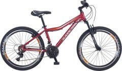 Salcano NG950 V Fren 24 Jant Dağ Bisikleti