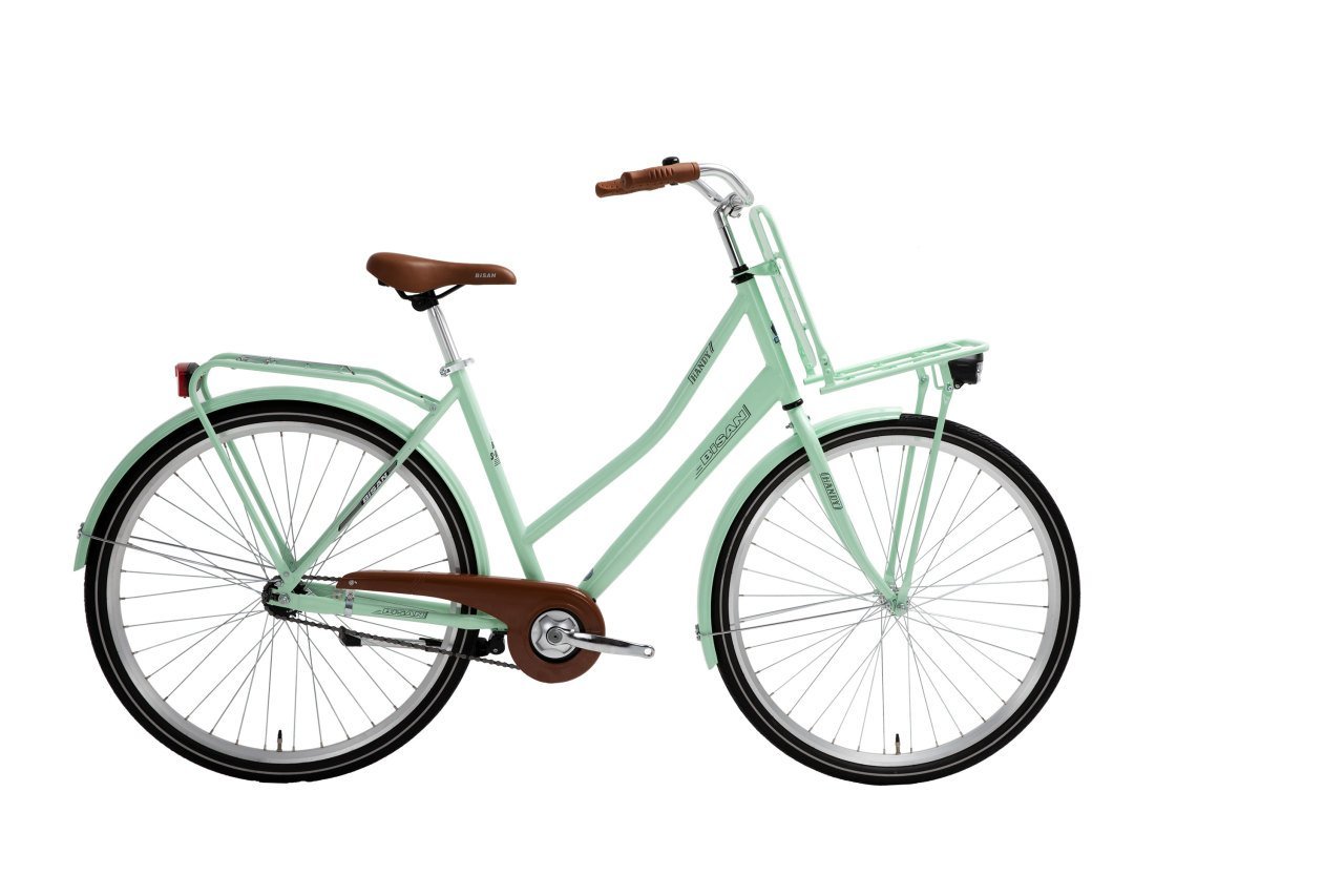 Bisan Handy C 28 Jant Şehir Bisikleti Mint Yeşil 52 cm