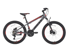 Bisan Cooper 20 Jant Mekanik Disk Fren Çocuk Bisikleti Metalik Gri-Kırmızı