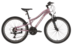 Bisan Kdx2800 V Fren 24 Jant Çocuk Bisikleti Metalik Pembe