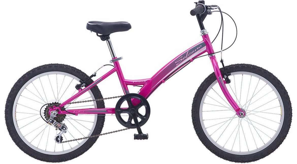 Salcano Fantasia 20 Jant Kız Çocuk Bisikleti Siyah - Mor