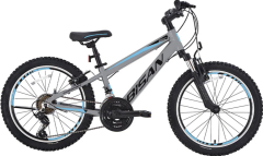 Bisan Cooper 20 Jant V Fren Çocuk Bisikleti Açık Gri-Siyah/Sarı