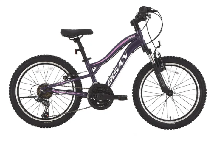 Bisan Gazelle 20 Jant Çocuk Bisikleti Metalik Mor