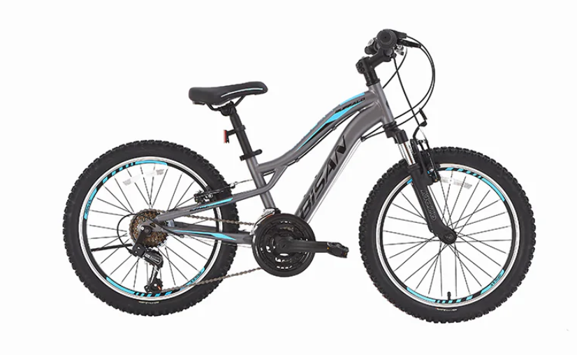 Bisan Buffalo V fren 24 Jant Çocuk Bisikleti Gri-Mavi