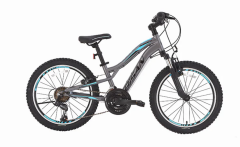 Bisan Buffalo V fren 24 Jant Çocuk Bisikleti Gri-Mavi