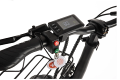Alba Fold F Premium 10 Ah 20 Jant Fatbike Katlanır Elektrikli Bisiklet - Siyah