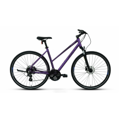 Carraro Sportive 226 Hidrolik Fren 24 Vites 28 Jant Şehir Bisikleti Mor-Kırık Beyaz 41 cm
