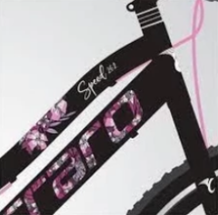 Carraro Speed 242 21 Vites 24 Jant Dağ Bisikleti Siyah-Pembe