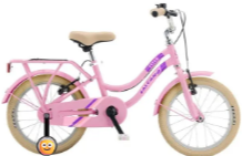Salcano Flyer 20 Jant Çocuk Bisikleti Pudra Pembe
