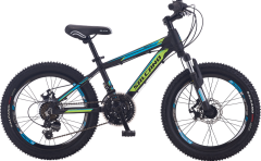 Salcano NG650 20 Md Disk Fren 20 Jant Erkek Çocuk Bisikleti Siyah-Yeşil