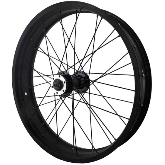 Ön Jant 20 Örülü Fatbike Disk Uyumlu