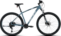 Carraro Daytona 918 Hidrolik Fren 29 Jant Dağ Bisikleti  Mat Antik Yeşil-Beyaz 52 cm