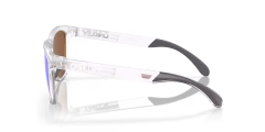 Oakley Güneş Gözlüğü Frogskins™ Range