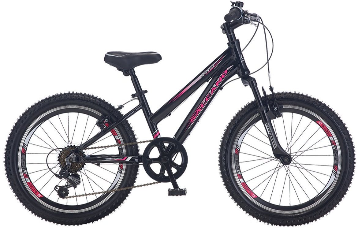 Salcano NG950 Girl  V Fren 20 Jant Kız Çocuk Bisikleti Açık Mavi-Mor/Gri