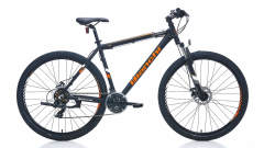 Bianchi Aspid 39 Disk Fren Dağ Bisikleti 29 Jant