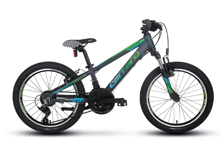 Carraro Force 200 20 Jant Çocuk Bisikleti Andrasit-Yeşil