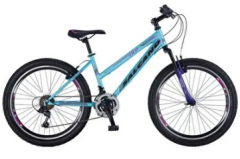 Salcano Lily 20 Jant Kız Çocuk Bisikleti Turkuaz-Pembe