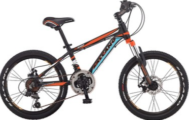 Salcano NG650 20 Md Disk Fren 20 Jant Erkek Çocuk Bisikleti Siyah-Turuncu/Turkuaz