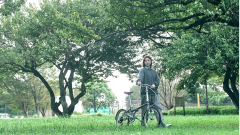 Dahon Boardwalk D7 16 Jant Yeşil