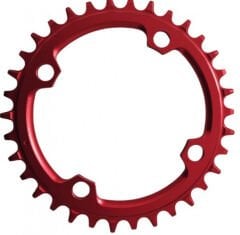 Aynakol Yaprak CKM24 11 li Rainbow Vona